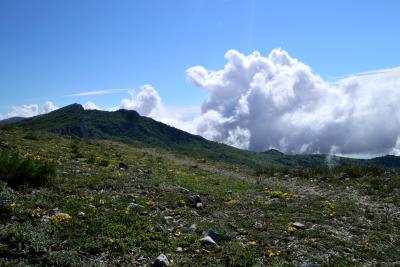 Прикрепленное изображение: DSC_0177.JPG